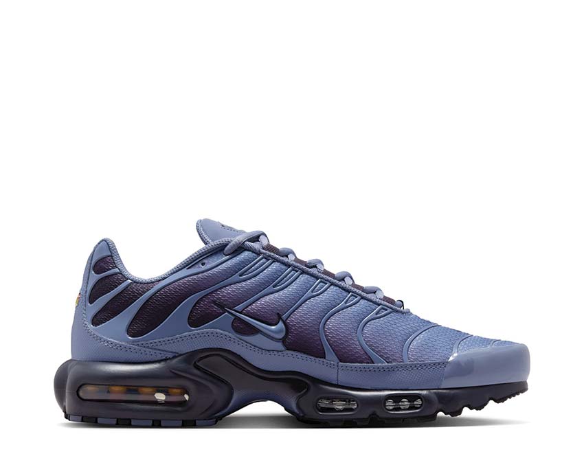 Nike Air Max Plus World Indigo