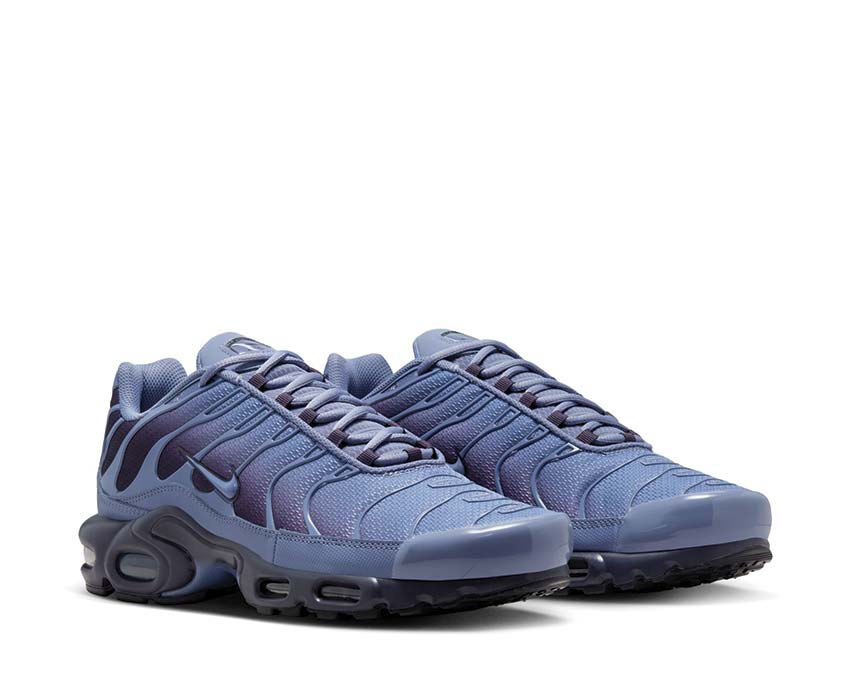 Nike Air Max Plus World Indigo - Image 3
