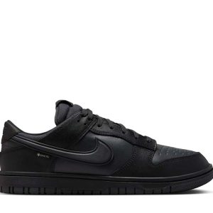 Nike Dunk Low GTX Black