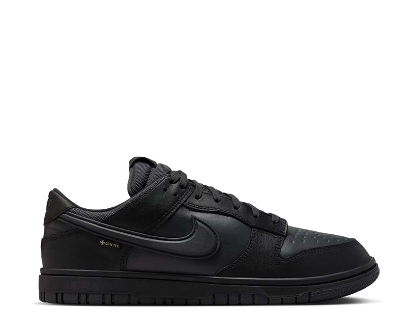 Nike Dunk Low GTX Black