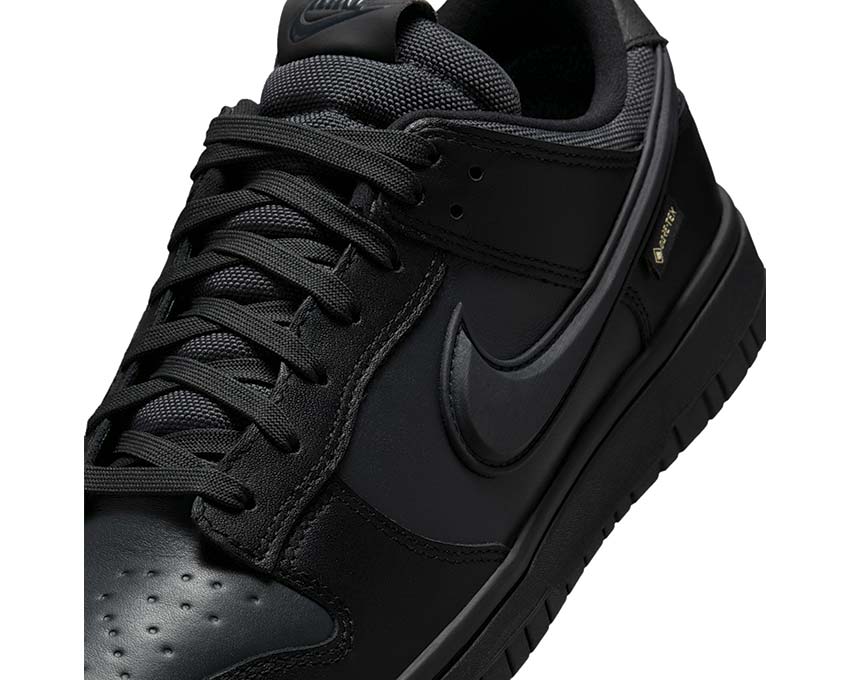 Nike Dunk Low GTX Black - Image 2